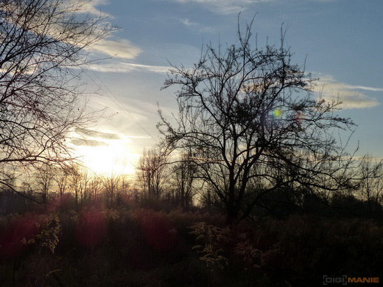 Panasonic Lumix FZ200: ultrazoomové překvapení roku