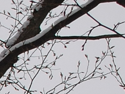 Dva objektivy nebo jeden ultrazoom?