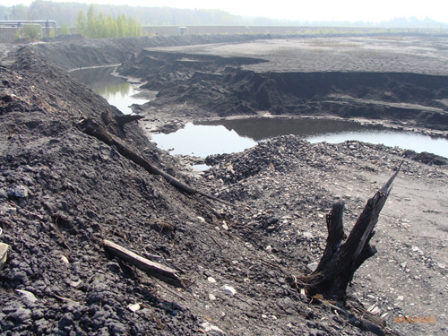 Sony DSC-H10: nejen levný ultrazoom