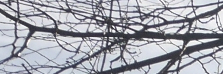 Panasonic Lumix G Vario 12-32mm f/3.5-5.6 ASPH. / MEGA O.I.S.