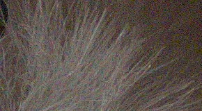 Sony Cyber-shot RX100 III (RX100M3): superSony