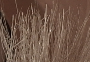 Samsung NX20: za více peněz více muziky