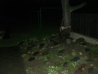 Casio Exilim Card EX-S600: Asijský plátek na fotografický způsob