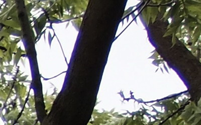 Olympus M.Zuiko Digital 40-150 mm F4-5,6 + nová R verze