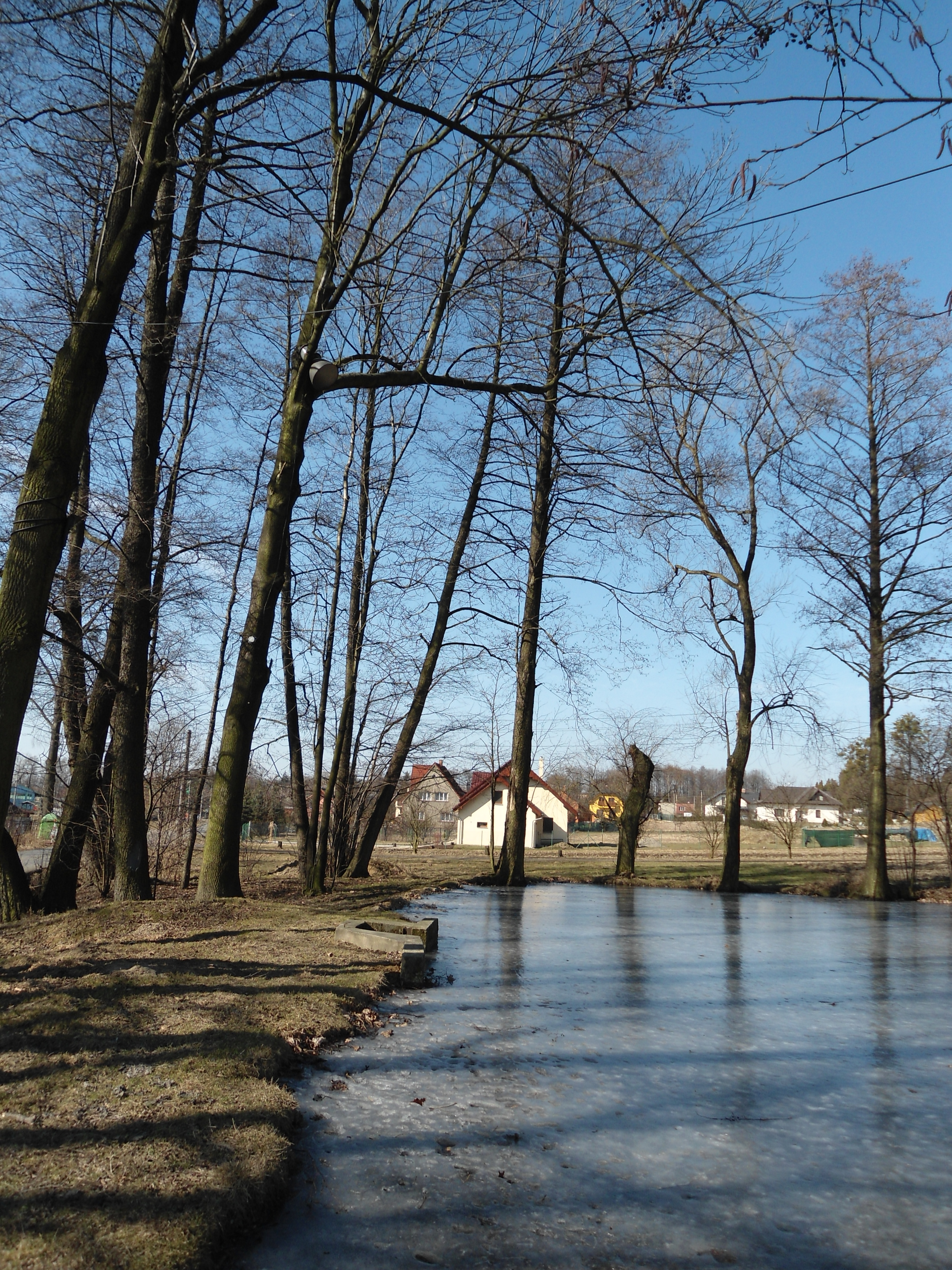 Sony Cyber-shot W510: červený základ