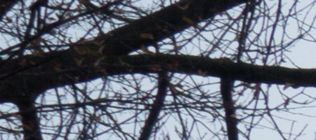 Sony DT 18-55mm 3.5-5.6 SAM II (SAL-1855-2)