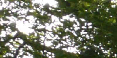 Panasonic Lumix G Vario 14-42mm F3,5-5,6 APSH.