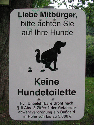 Formáty pro ukládání fotografií - 3.díl: jpeg