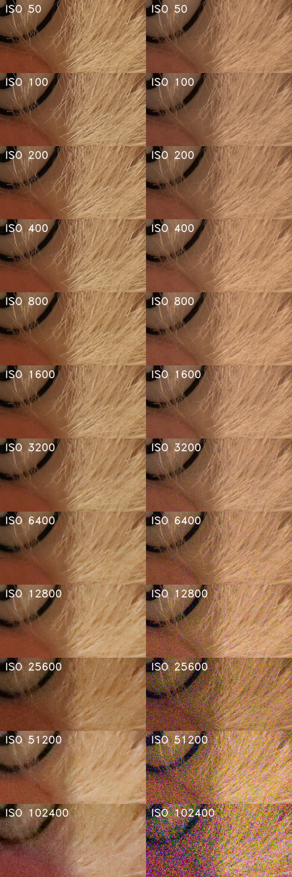 Canon EOS 6D Mark II: vylepšený full frame základ