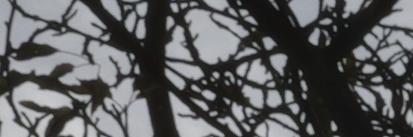 Panasonic Leica DG Vario-Elmarit 12-35mm / F2.8 ASPH. / Power O.I.S