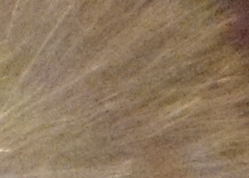 Samsung WB210: dotkněte se 21 milimetrů!