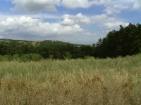 Acer CP-8660: zajímavý rebrand