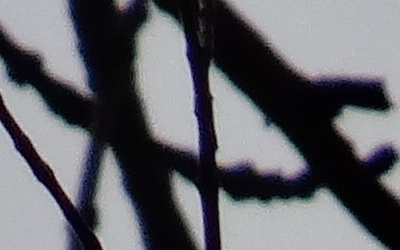 Sony Cyber-shot HX20V: umí snad všechno