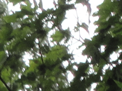 Sony Cyber-shot W350: šikovný prcek