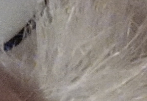 Sony Cyber-shot RX100: terminátor zrcadlovek