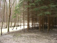 Casio Exilim Card EX-S600: Asijský plátek na fotografický způsob