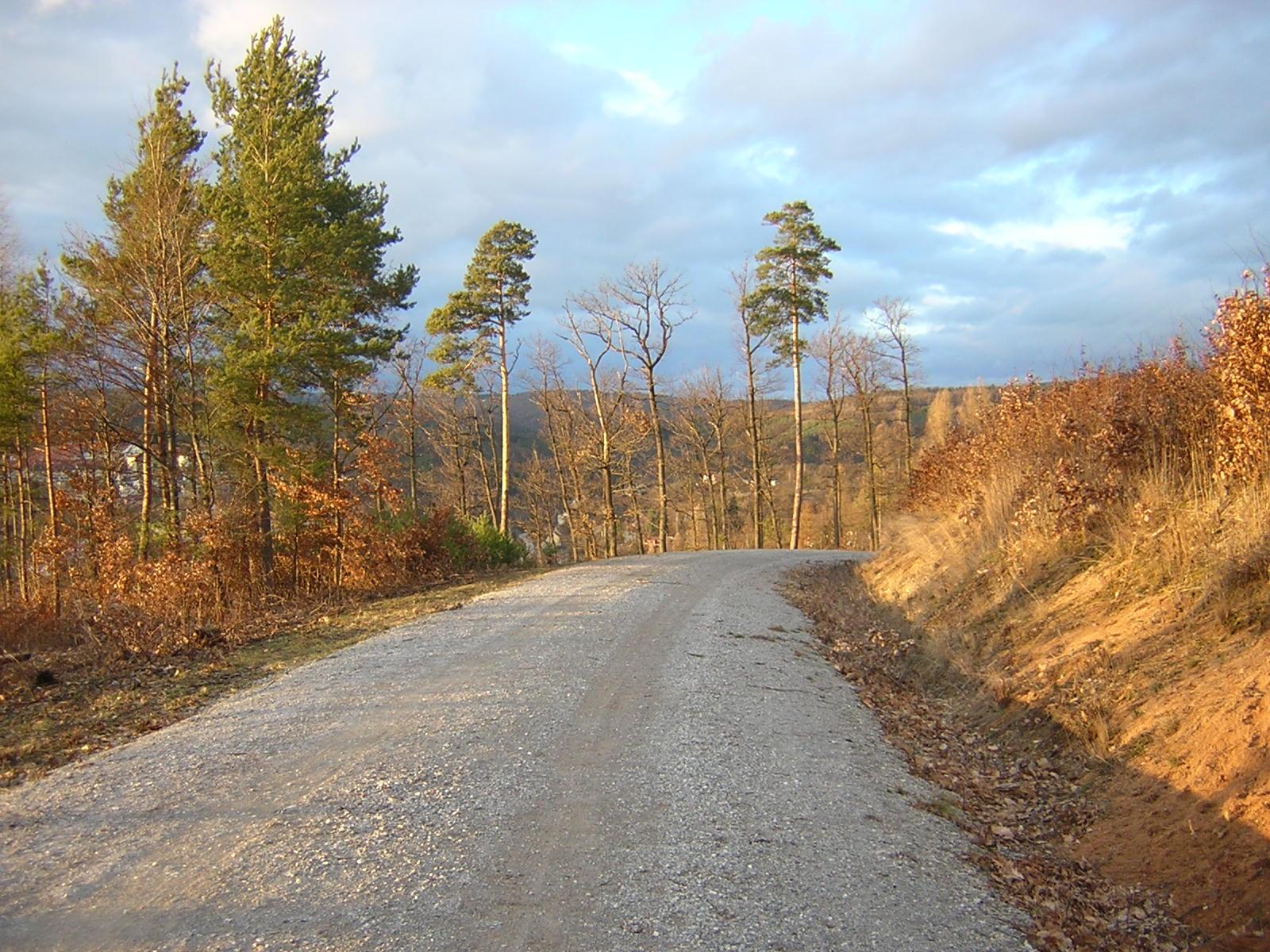 Coolpix 2100: Dvoumegový kompakt s dobrými výsledky