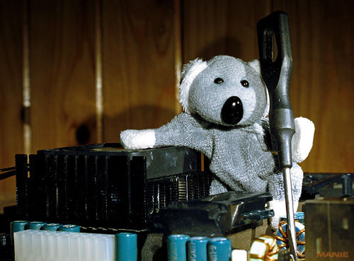 Fotíme s Koalou: Ostření