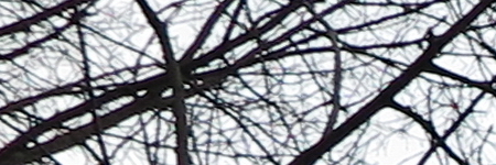 Canon PowerShot G1 X Mark II: významné zlepšení