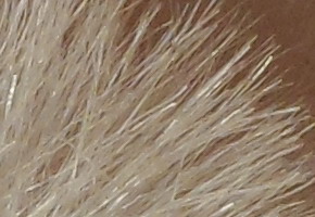 Samsung MV800: pro každý úhel i autoportréty