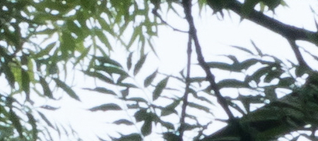 Samsung 16-50mm 1:3.5-5.6 ED OIS Power Zoom