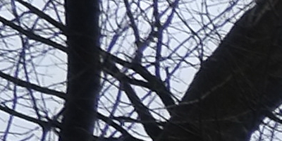 Fujinon XF 18mm f/2R