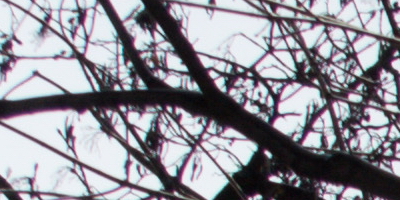 Nikon AF-S NIKKOR DX 55-300mm 1:4.5-5.6G ED VR