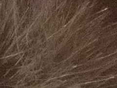 Fujifilm X100: splněný sen