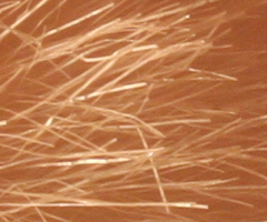 Canon EOS 500D: povedený pokračovatel rodu