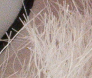 Sony A7R II (ILCE-7RM2): detaily na druhou