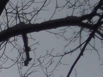 Sony Cyber-shot WX1: Vypilovaný drobek