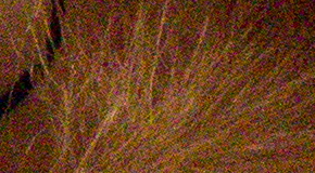 Canon EOS 1200D: vylepšený základ