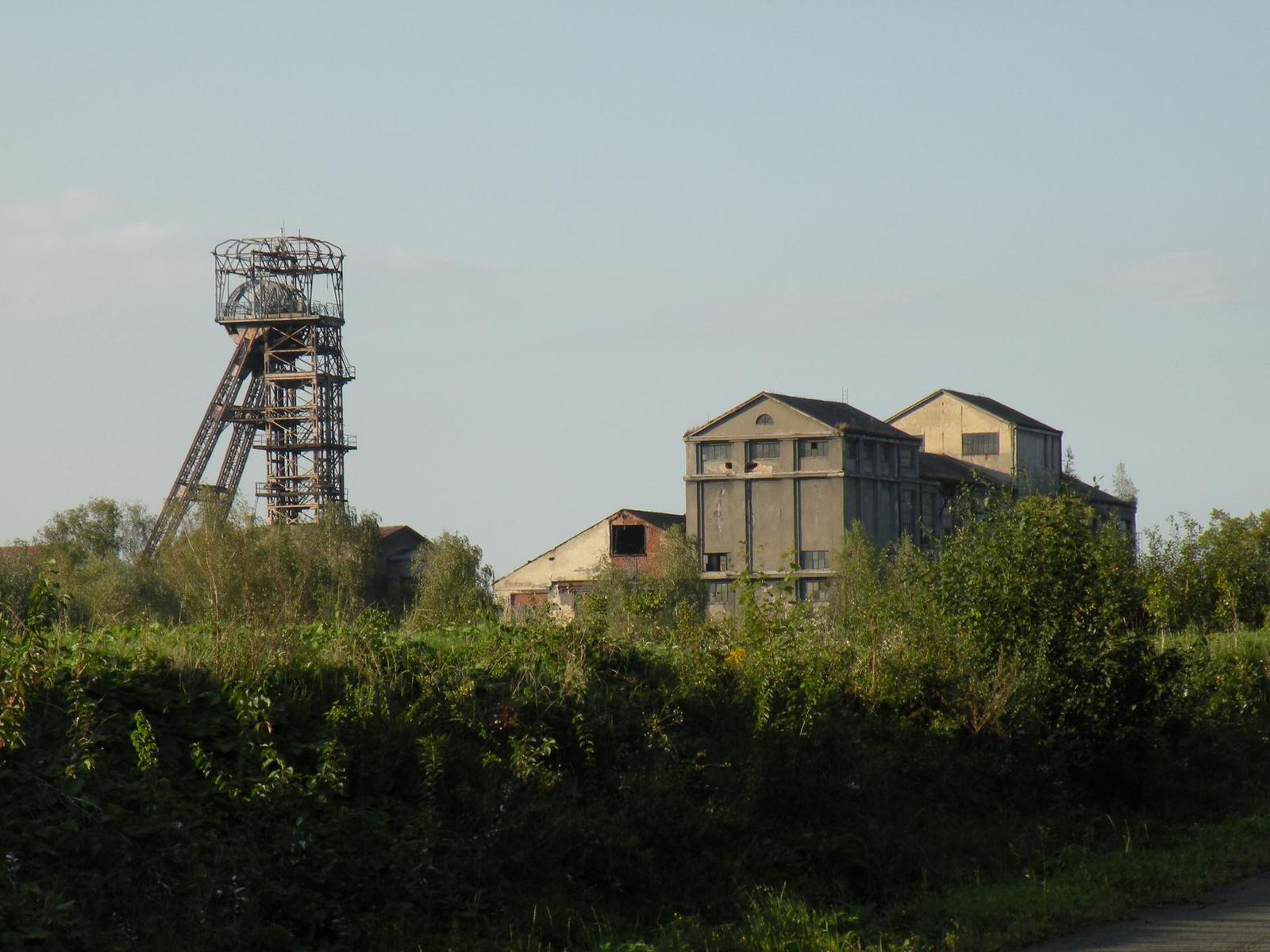 Nikon Coolpix P80: ultrazoom plný protikladů