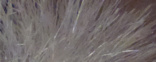 Nokia 808 PureView: mobilní zrcadlovkobijec