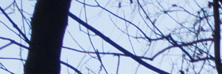 Olympus M.Zuiko Digital ED 14-42mm 1:3.5-5.6 EZ Pancake