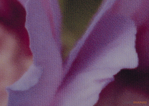 Epson Stylus Photo PX720WD: multifunkční krasavec