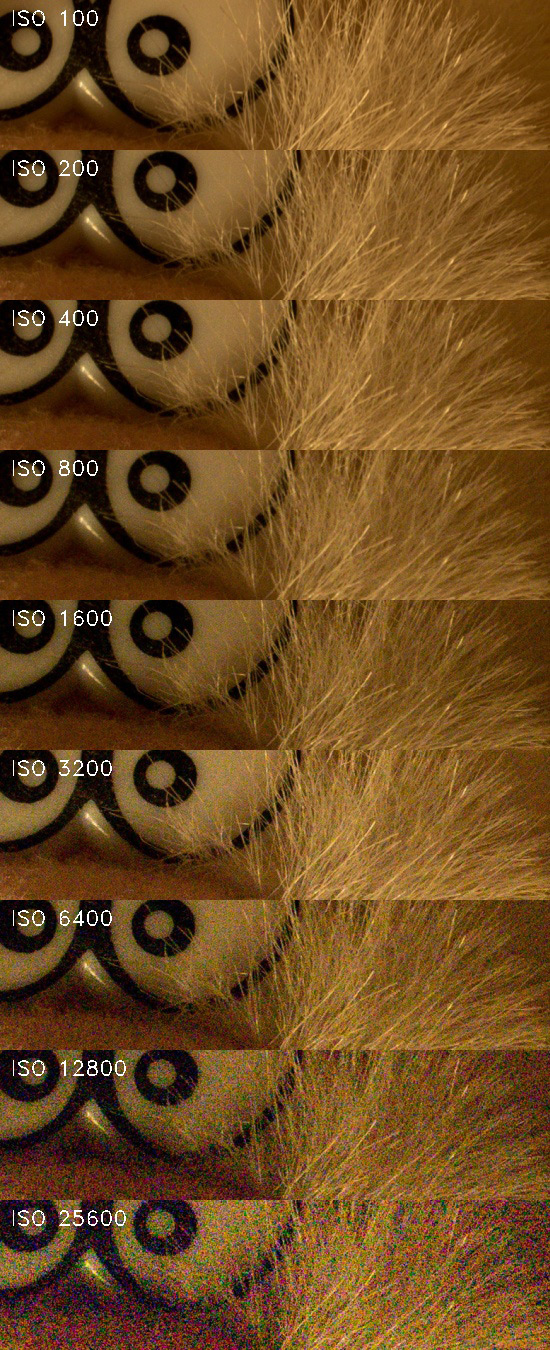 Nikon D5300: bezdrátový DSLR turista