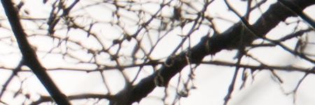 Panasonic Lumix G Vario 35-100mm F4-5.6 MEGA O.I.S.