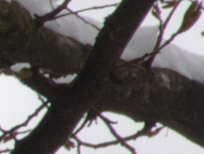 Dva objektivy nebo jeden ultrazoom?