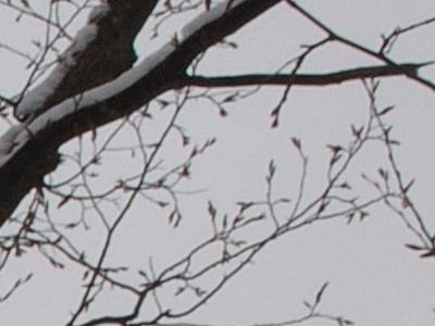 Dva objektivy nebo jeden ultrazoom?