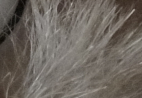 Sony SLT-A58: silný základ