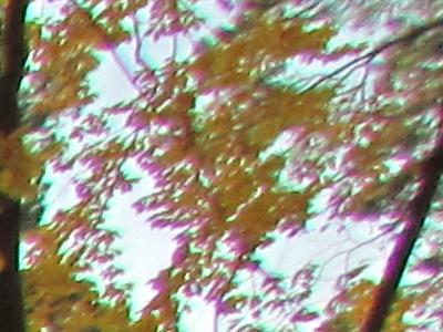 Canon PowerShot SX30 IS: sebevědomý rekordman