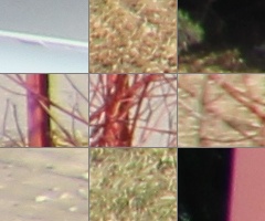 Megatest ultrazoomových objektivů