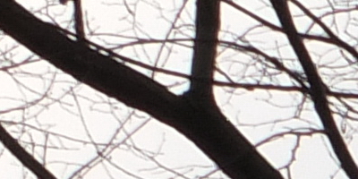 Fujifilm X-S1: jedinečný