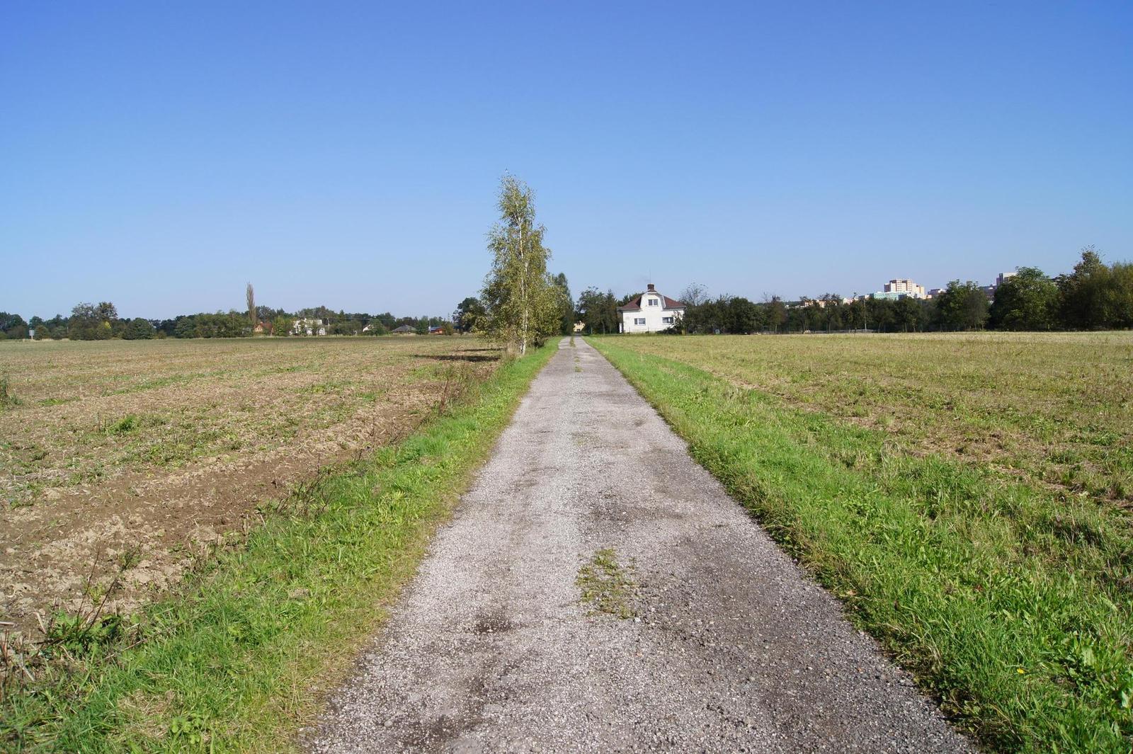 Sony SLT-A33: přesvědčivý revolucionář