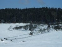 Caplio R1: Široká kompaktní náruč