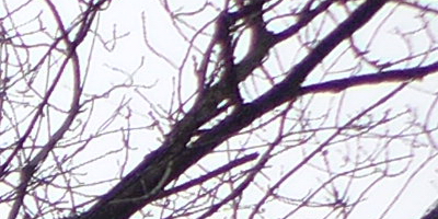 Panasonic Lumix LX7: kompaktní hvězda noci