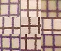 Nikon Coolpix L810: pro nenáročné