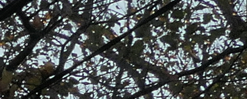 Panasonic Lumix TZ200: kamarád na cesty