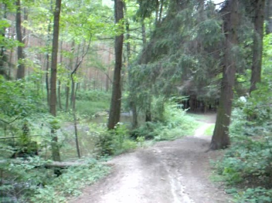 HP Photosmart R817: To nejlepší od HP